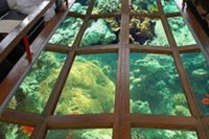 Glass bottom boat, Excursion in Sharm
