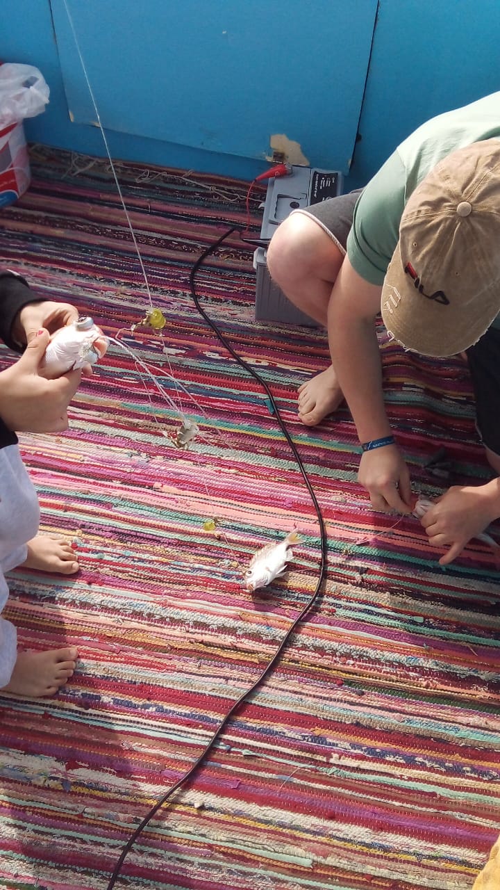 private Fishing in Dahab from Sharm El Sheikh