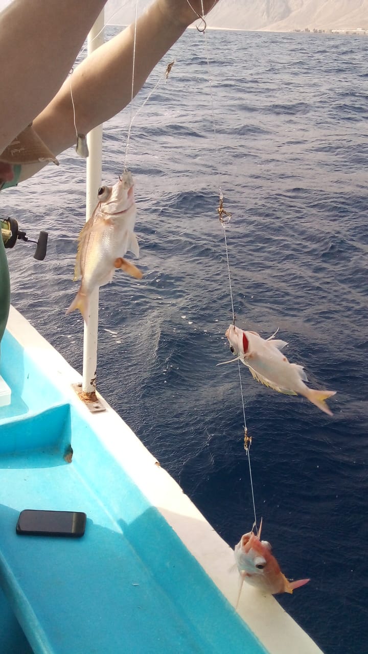 private Fishing in Dahab from Sharm El Sheikh