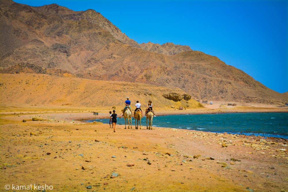 Dahab 5 in 1 Escursione 3 Pools Snorekling, Safari