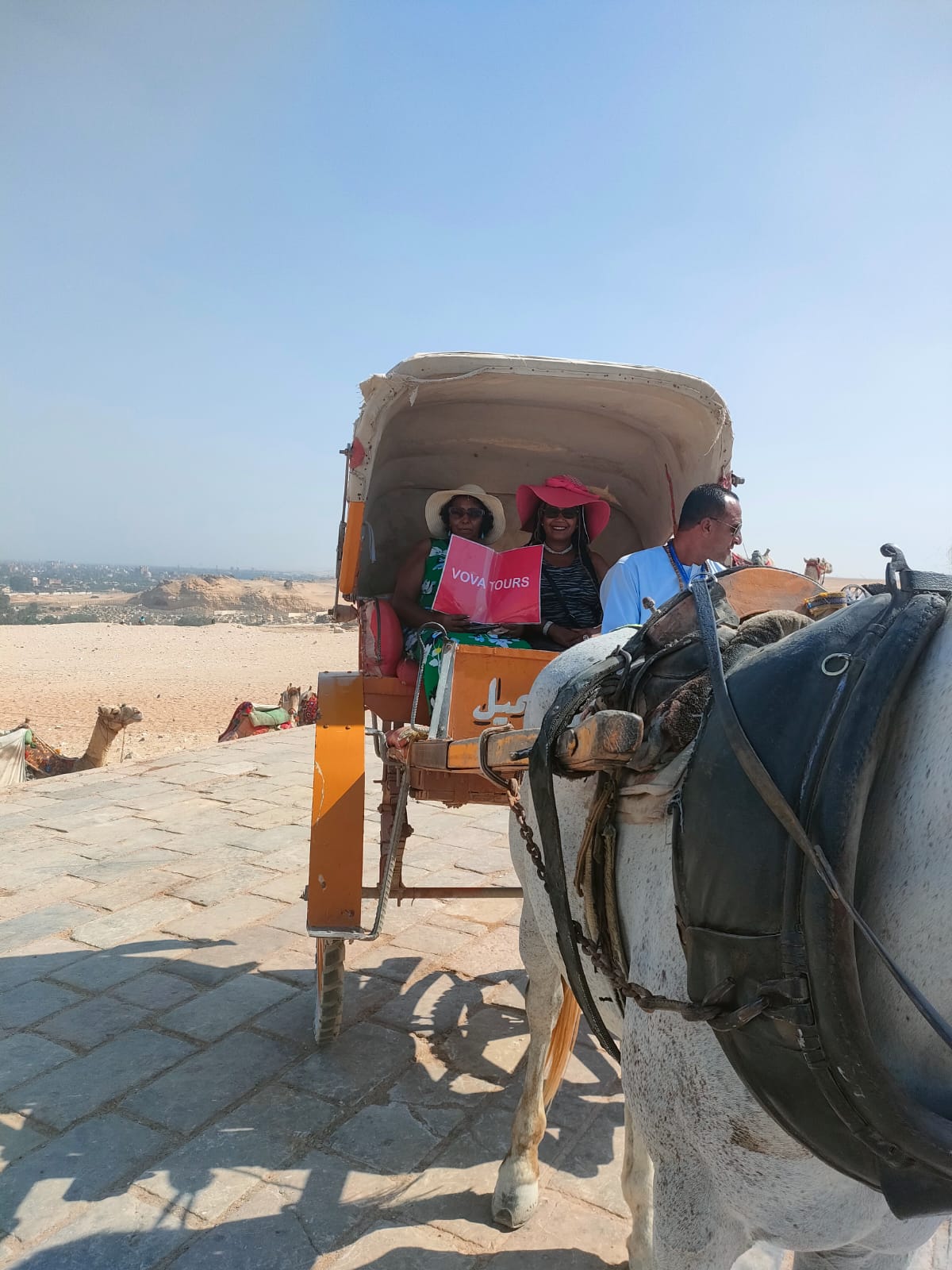 Gita di un giorno al Cairo da Sharm El Sheikh in aereo | Visita alle Piramidi - Nuovo Museo