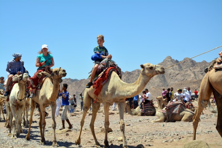 Dahab 5 in 1 Escursione 3 Pools Snorekling, Safari